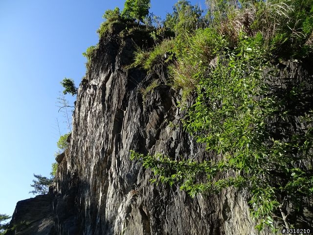 親子旅遊-司馬庫斯(下)