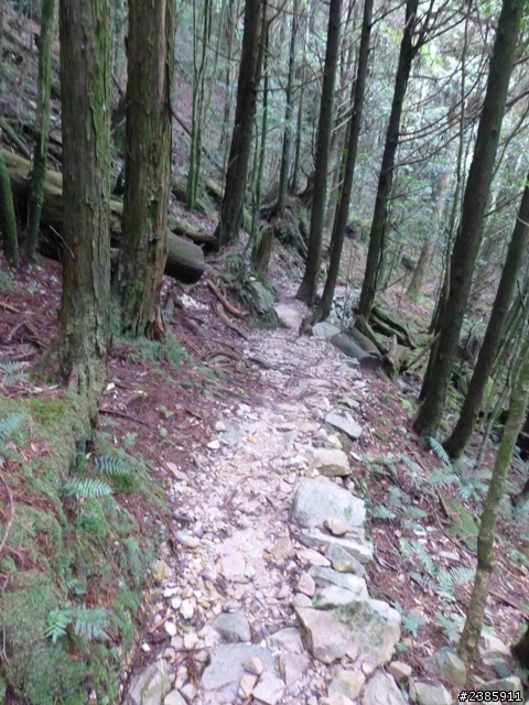 20130620初探谷關七雄之首～八仙山