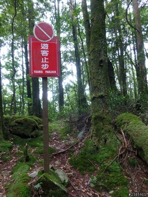 20130620初探谷關七雄之首～八仙山