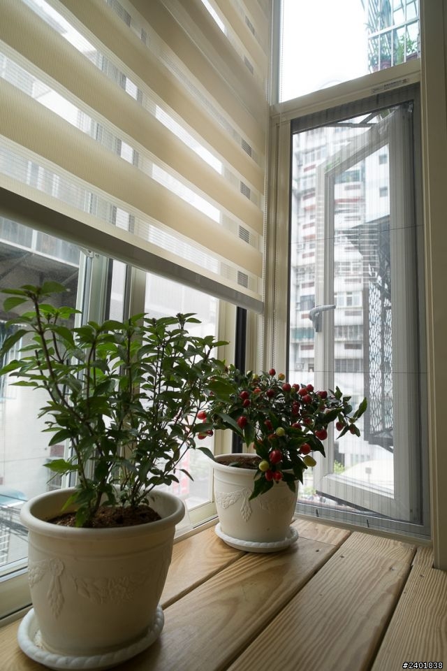 [ 開箱文 ]一家三口與四貓一狗的老屋新裝潢