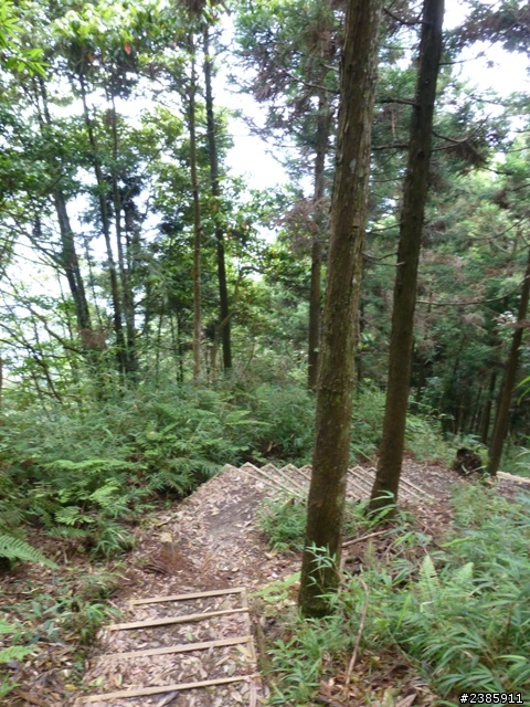 20130620初探谷關七雄之首～八仙山