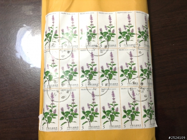 Bauerfeind保爾範基本款護膝開箱