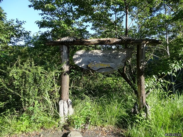 親子旅遊-司馬庫斯(下)