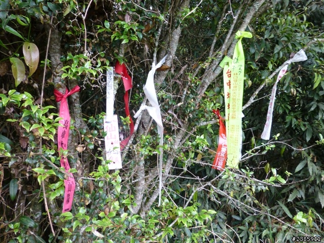 20130620初探谷關七雄之首～八仙山