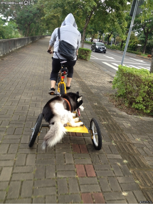 自製拖車分享！