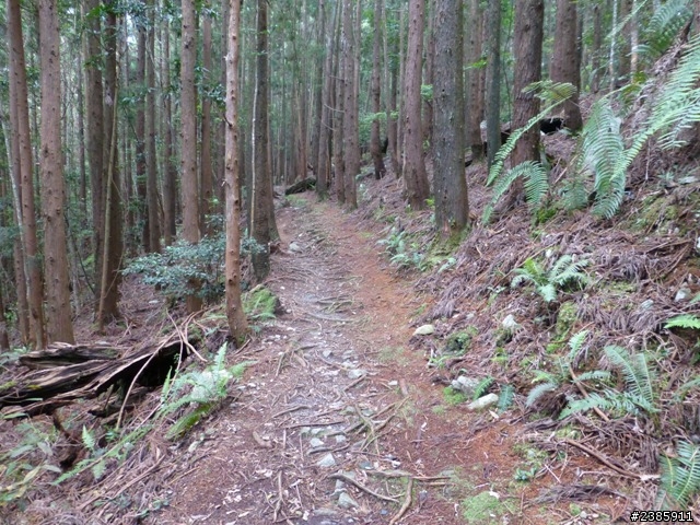 20130620初探谷關七雄之首～八仙山
