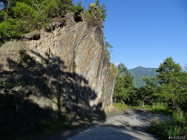 親子旅遊-司馬庫斯(下)