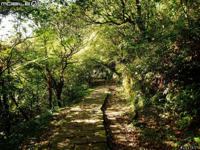 桃源谷草嶺古道環狀線