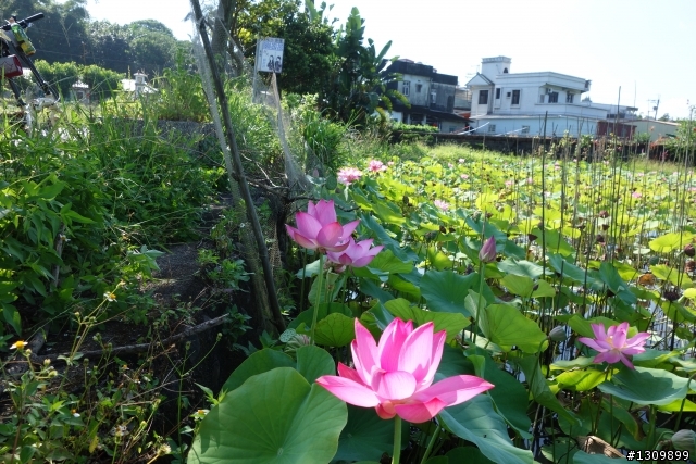 2013 不落蘭陽92，不落下的好心情，