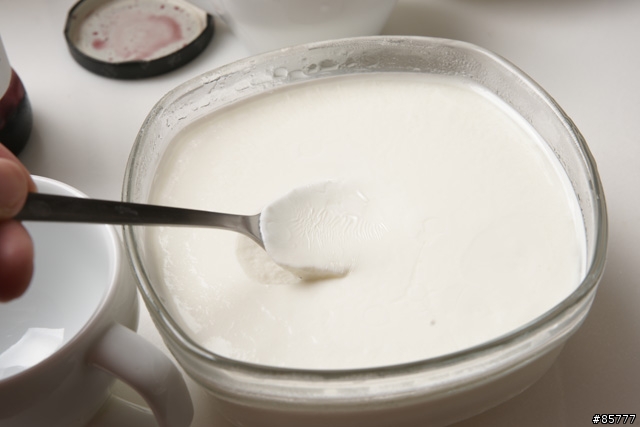 烤箱自製CBA優格(高溫菌)，可做到Greek優格質感