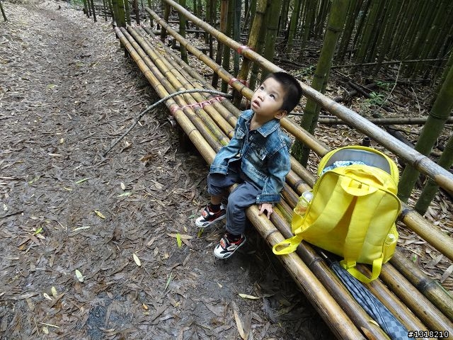 親子旅遊-司馬庫斯