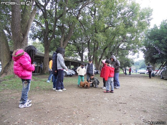 [野家3]離家200里顏氏牧場