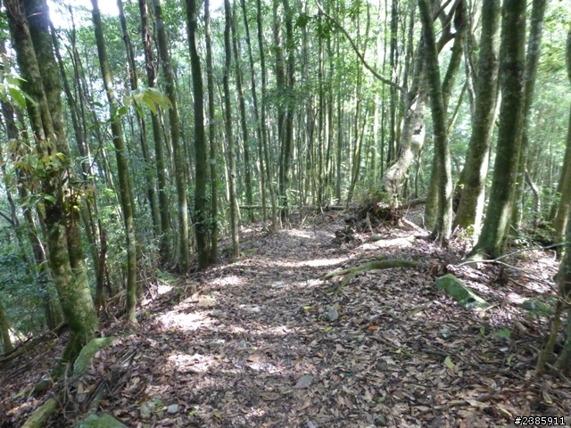 20130620初探谷關七雄之首～八仙山