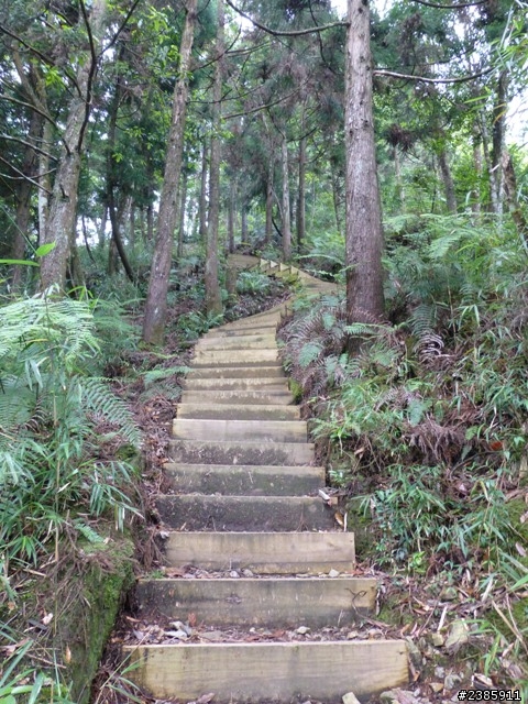 20130620初探谷關七雄之首～八仙山