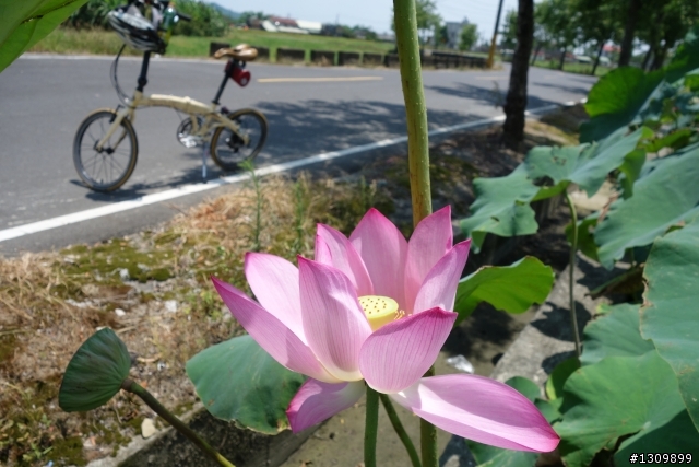 2013 夏至，尋訪嘉南水圳鐵馬道