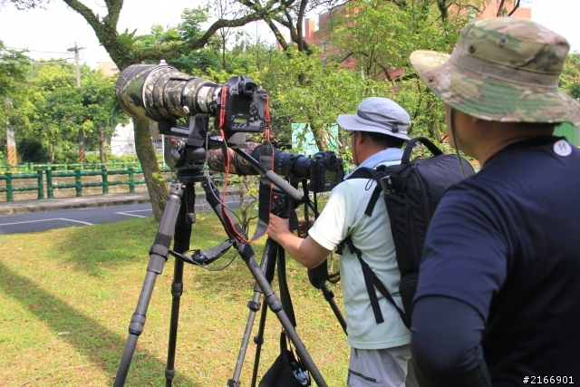 〈分享〉550D x kit18-135   五色鳥的打鳥初體驗  in中央研究院
