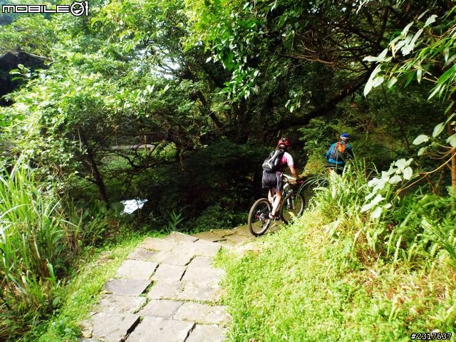 桃源谷草嶺古道環狀線