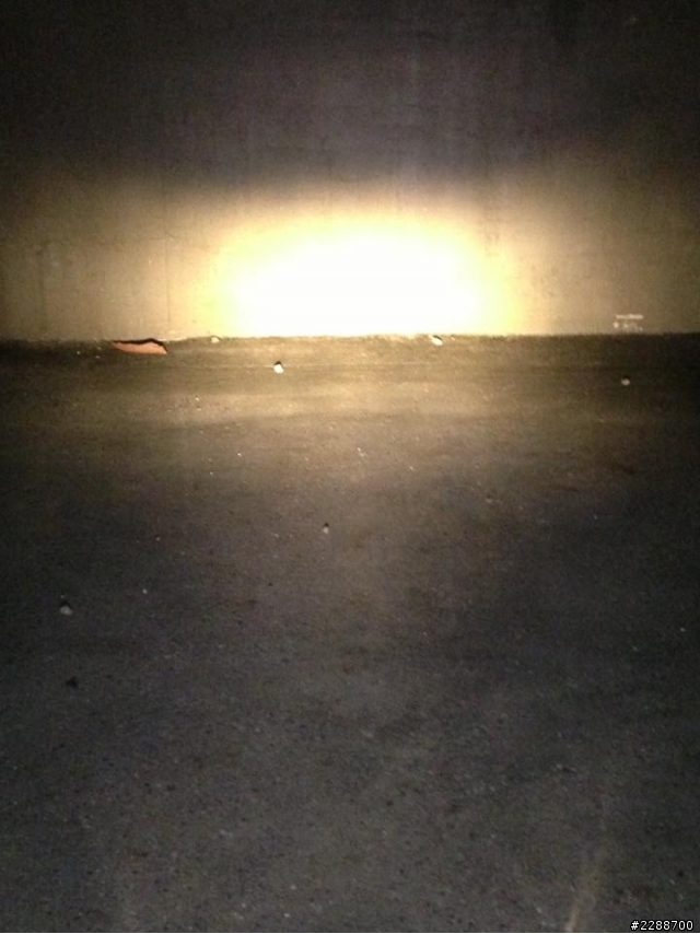 35W 黃金光 洪鉅 honjue 葫蘆四鎢絲