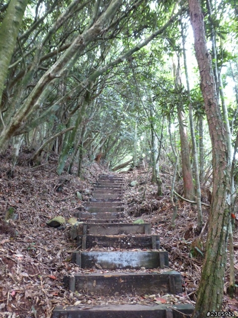 20130620初探谷關七雄之首～八仙山