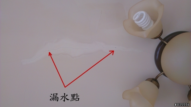 透天厝屋頂漏水用得利倍剋漏屋頂防水漆處理心得分享