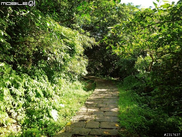 桃源谷草嶺古道環狀線