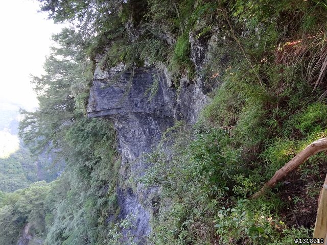 親子旅遊-司馬庫斯(下)