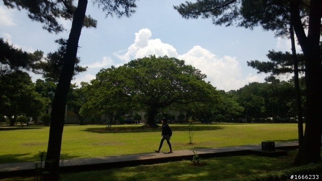 LUMIA 920真的差在推銷..