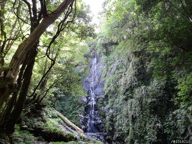 親子旅遊-司馬庫斯(下)
