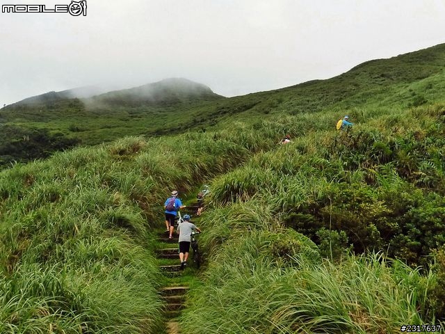 桃源谷草嶺古道環狀線