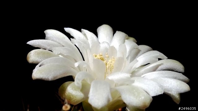 620照片樓(已修正圖檔~)