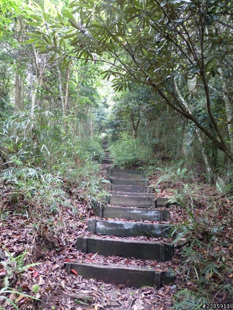 20130620初探谷關七雄之首～八仙山