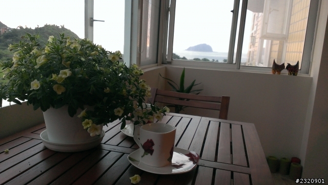有山。有海。有個家。