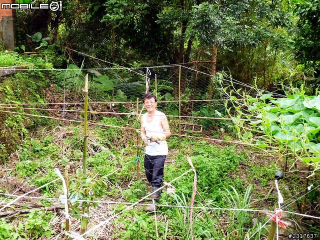 雙溪雙鐵低碳自助遊