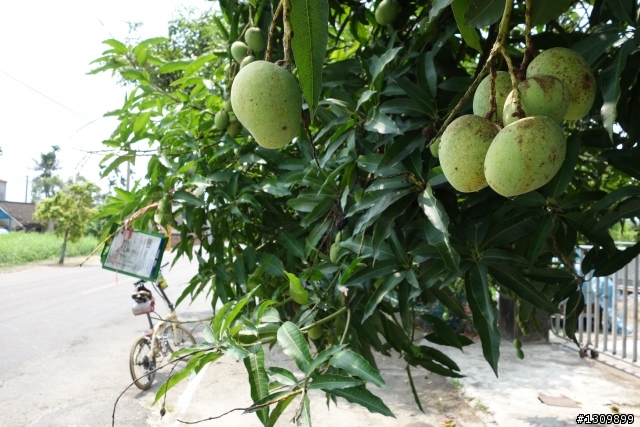 2013 夏至，尋訪嘉南水圳鐵馬道