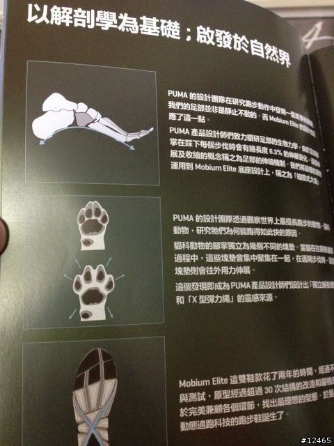 PUMA  Mobium Elite入手
