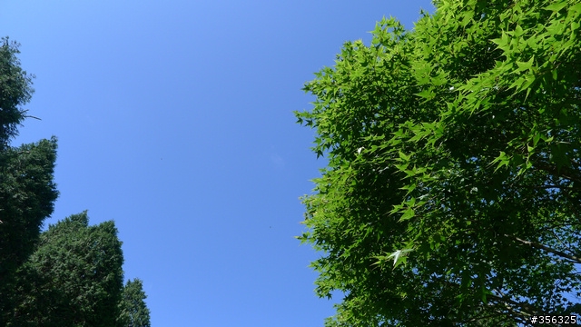 走，讓我們相約翠峰湖看雲海去！
