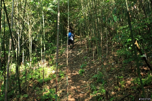 恣意、暢行、下坡趣--太和山步道