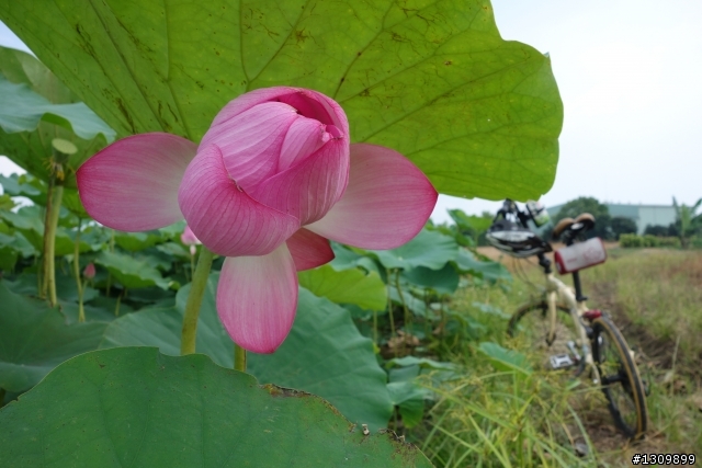 2013 夏至，尋訪嘉南水圳鐵馬道