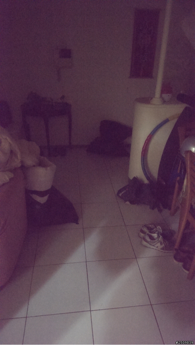 這樣子紫光任務不知道解了沒 非工讀生 圖多請原諒