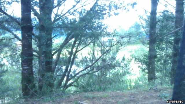 人生首露/福壽山農場0720