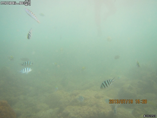 2013澎湖 半自助三日遊 PART.1