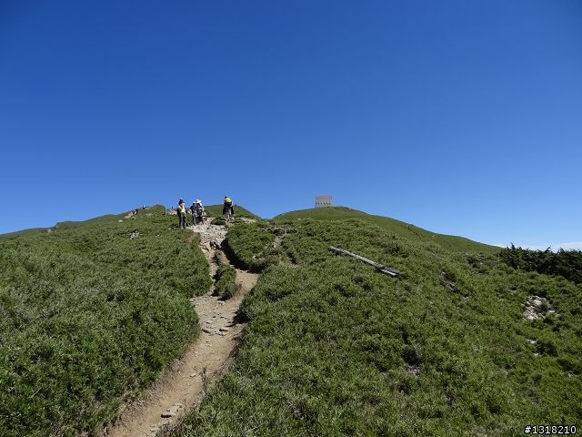親子旅遊-合歡山晴(下)