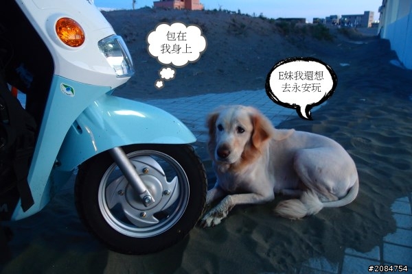 省道一姐輕省生活完結-那個夏天