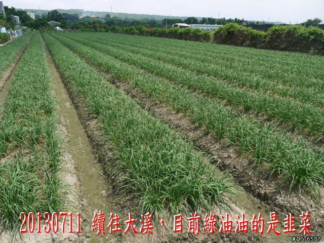 20130711鶯歌大溪三坑石門水庫之旅