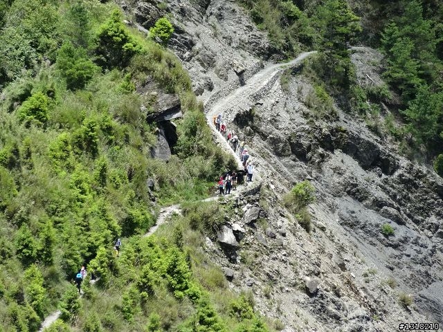 親子旅遊-就是要去塔塔加