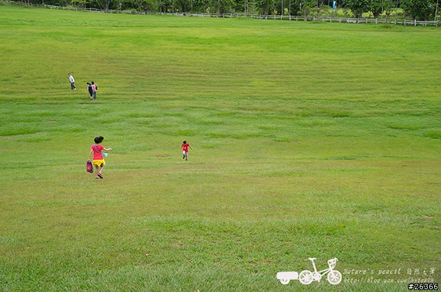 【一個人的旅行】兩鐵台東之旅 bike friday〔伯朗大道、阿智農場、台東熱氣球、鹿野高台、龍田自行車、知本溫泉、卑南豬血湯、徐媽媽蔥油餅〕