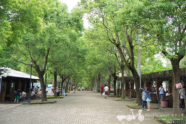【一個人的旅行】兩鐵台東之旅 bike friday〔伯朗大道、阿智農場、台東熱氣球、鹿野高台、龍田自行車、知本溫泉、卑南豬血湯、徐媽媽蔥油餅〕