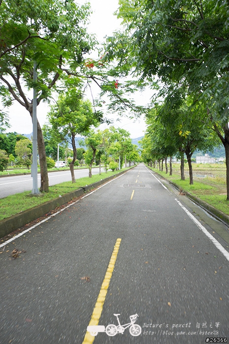 【一個人的旅行】兩鐵台東之旅 bike friday〔伯朗大道、阿智農場、台東熱氣球、鹿野高台、龍田自行車、知本溫泉、卑南豬血湯、徐媽媽蔥油餅〕
