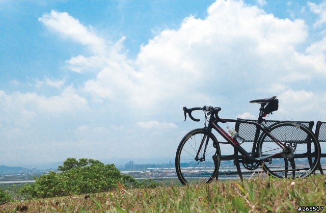 GIANT TCR COMPOSITE 2 2014 消光黑入手 (08/11新手更新心得)