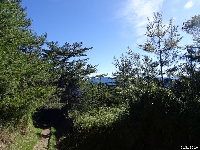親子旅遊-就是要去塔塔加
